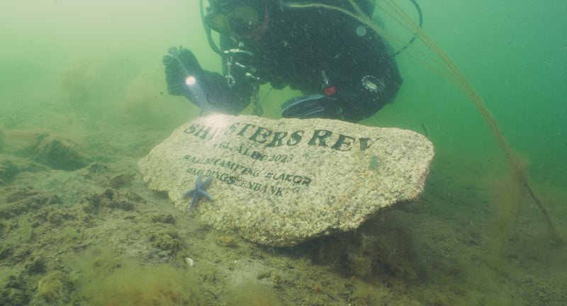 LAKOR Timeline image