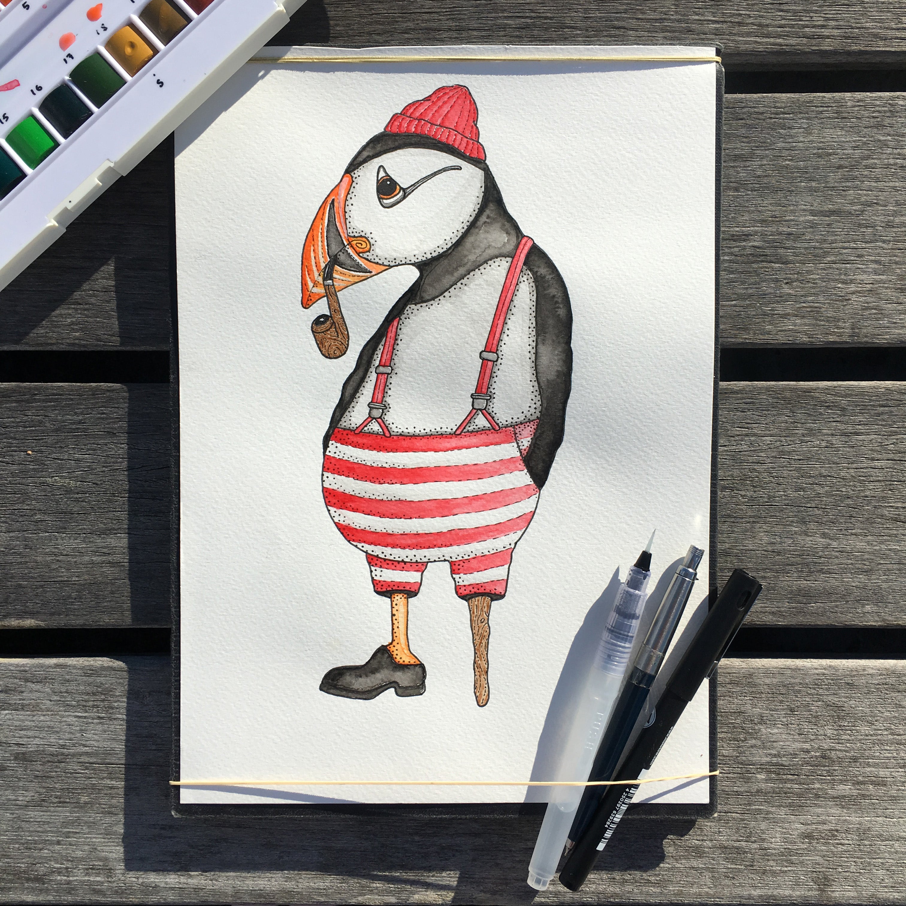 Atlantic Puffin tegning