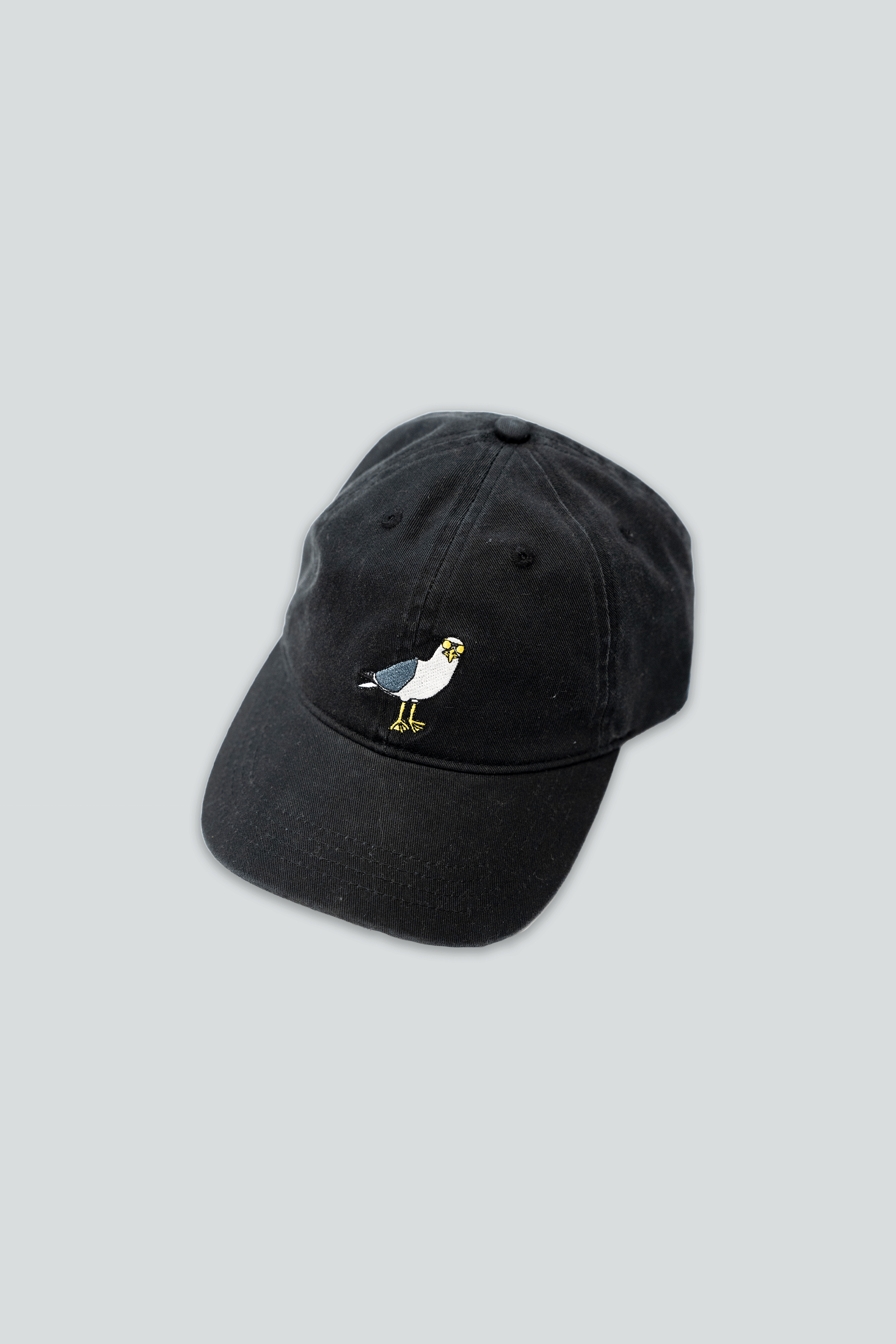 Seagull Cap