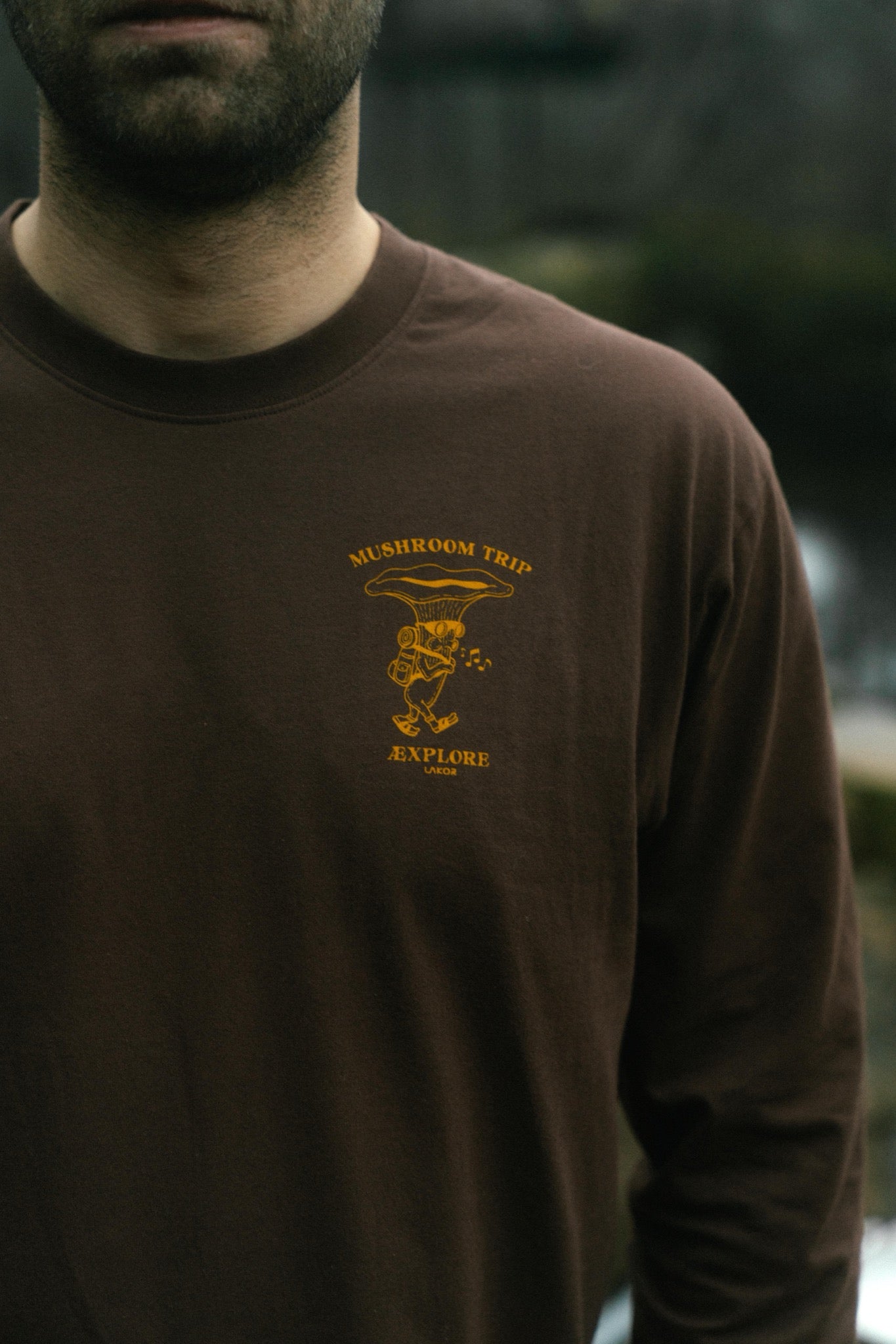 LAKOR Chanterelle Trip Boxfit LS T-shirt T-Shirt Chicory Coffee