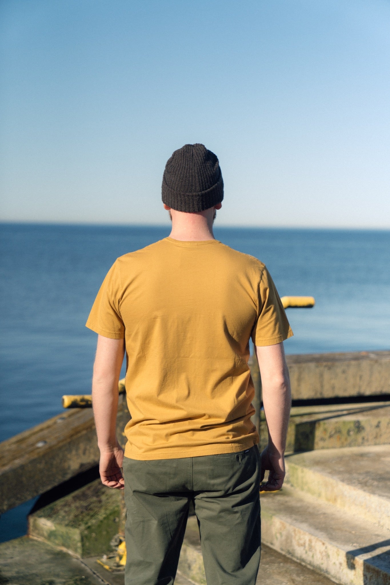 LAKOR Mini Flying Puffin T-shirt T-Shirt Wood Thrush