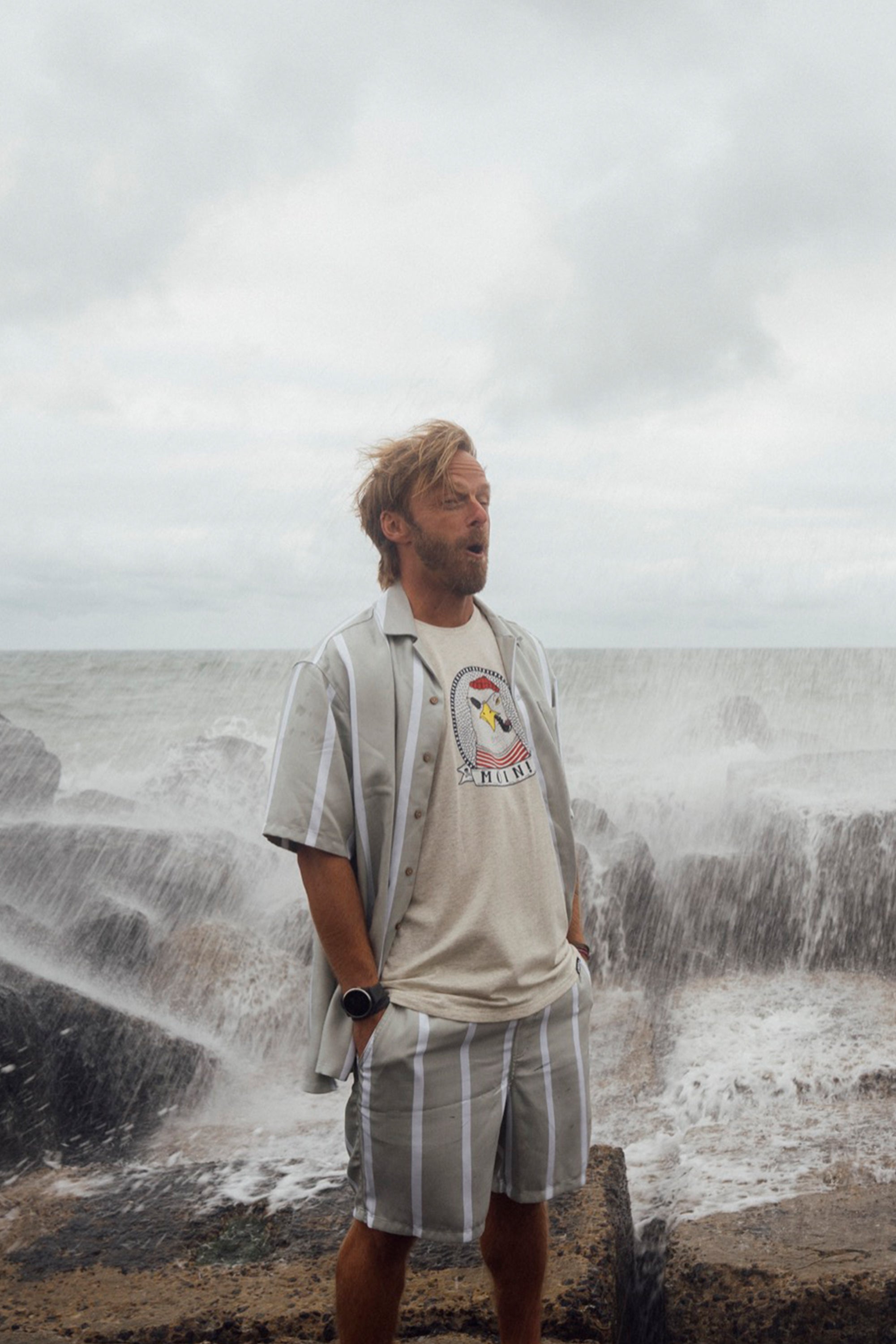 Wide Stripe Shorts - Desert Sage