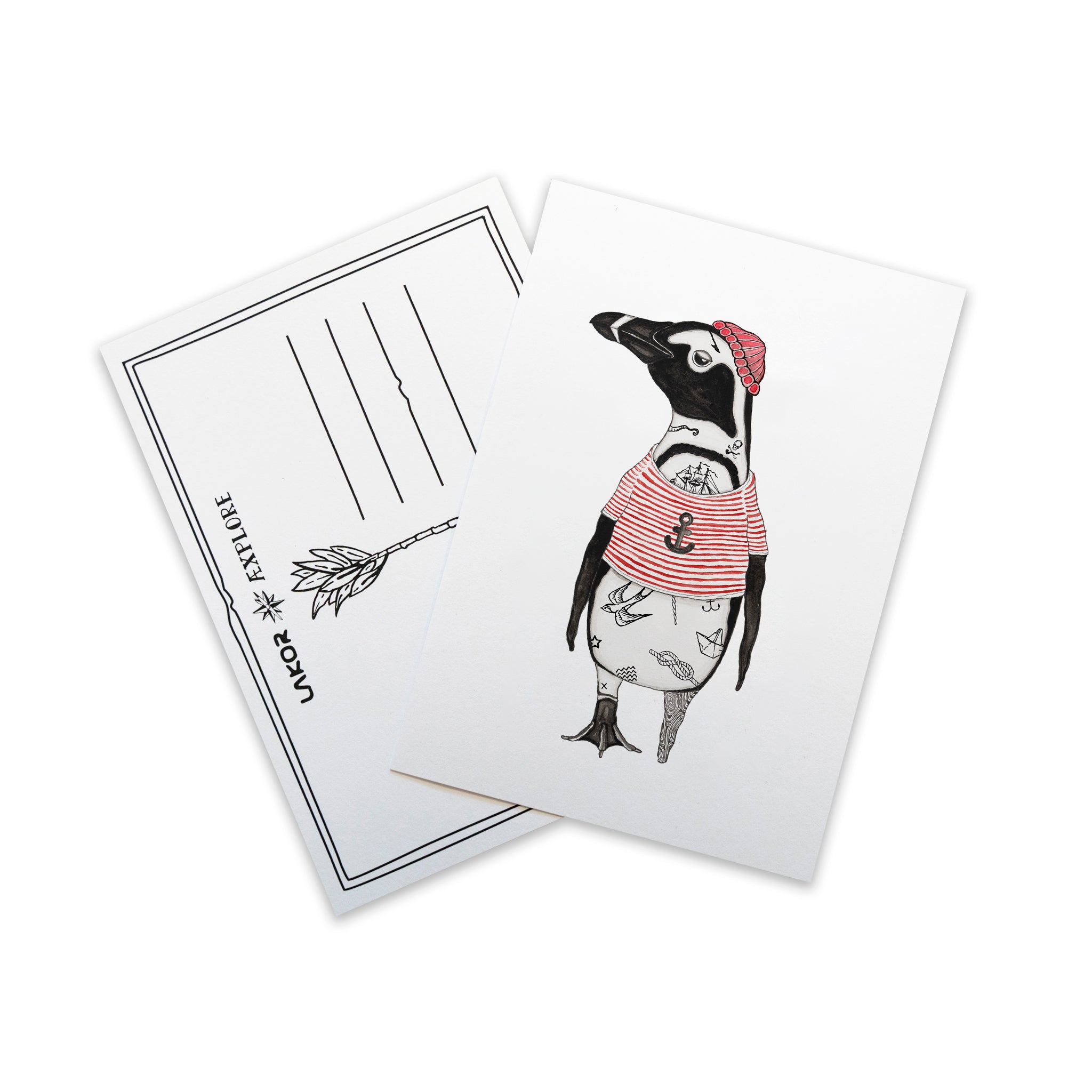 African Penguin Postkort